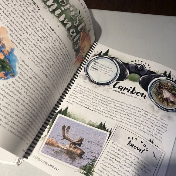 New GATHER ROUND Forest Animals curriculum set Unit Studies style - Picture 8 of 8